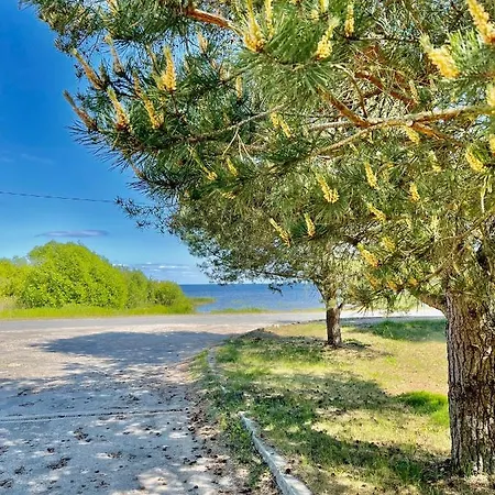 Апартаменты Lake Hostel Муствеэ