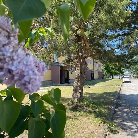 Lake Hostel Апартаменты Муствеэ