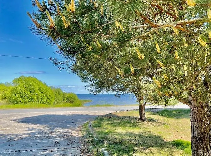 Апартаменты Lake Hostel Муствеэ