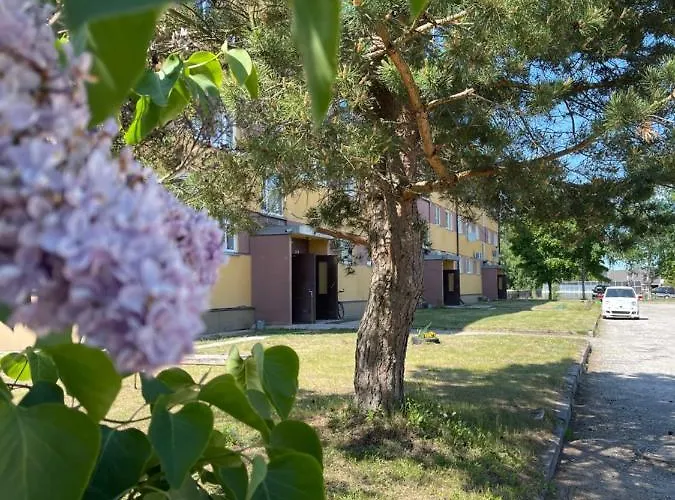 Lake Hostel Апартаменты Муствеэ